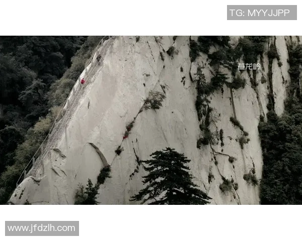 攀岩之路:陈伟与自然对话的深刻人生探索